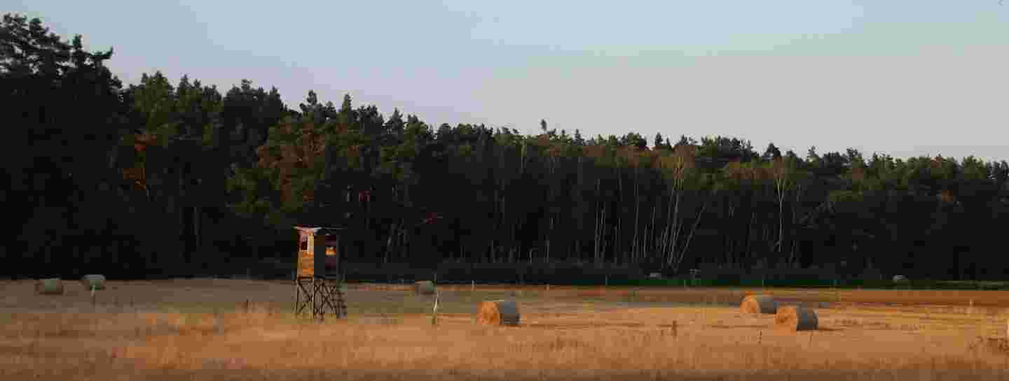 Feld mit Hochstand und Strohballen am Eingang zum Darßer Wald - Wieck